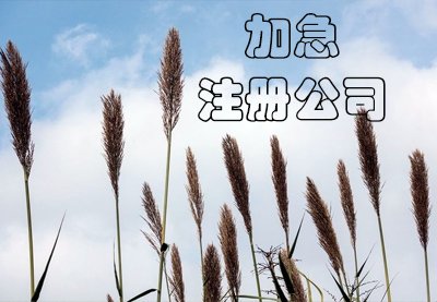 上海公司注冊都有哪些步驟？